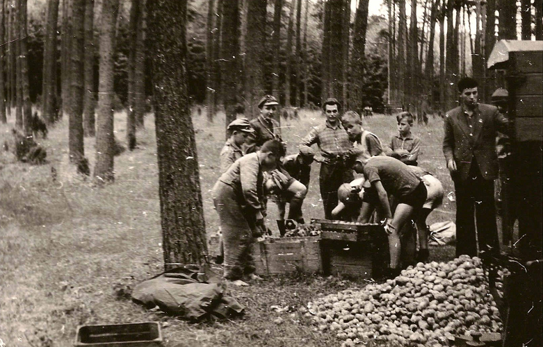 obóz nad jez. Sosno, sierpień 1957