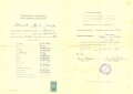 świadectwo Gimnazjum I. Adamskiej 1939