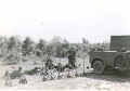 Niemieckie ćwiczenia na poligonie w Rembertowie 1940