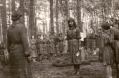 Obóz nad jez. Sośno, sieprień 1957 Obóz nad jez. Sośno, sieprień 1957