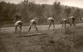 Obóz 104 WDH-ek i 115 WDH nad jeziorem Blizno. 1961